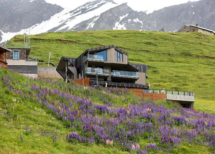 Bergman Mountain Hotel
